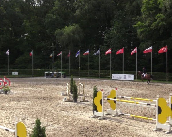 Reitturnier Klein Roscharden 2024