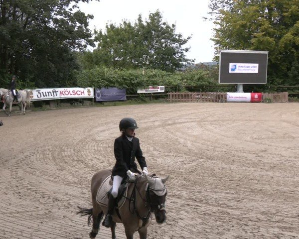 Reitturnier Marienheide-Kempershöhe 2024