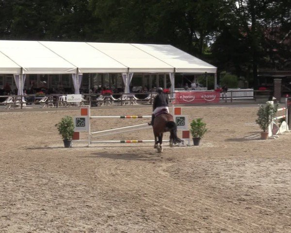 Reitturnier Klein Roscharden 2024