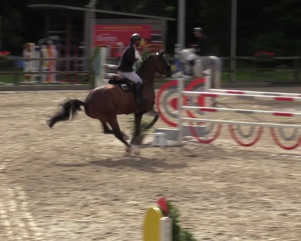 Reitturnier Klein Roscharden 2024