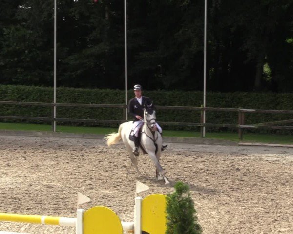 Equestrian Show Klein Roscharden 2024