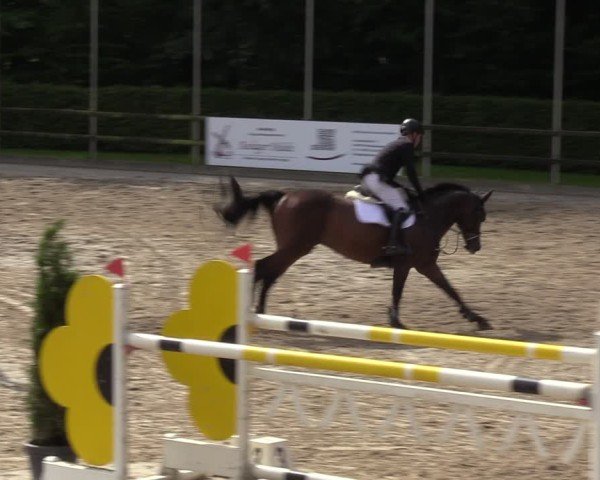 Reitturnier Klein Roscharden 2024