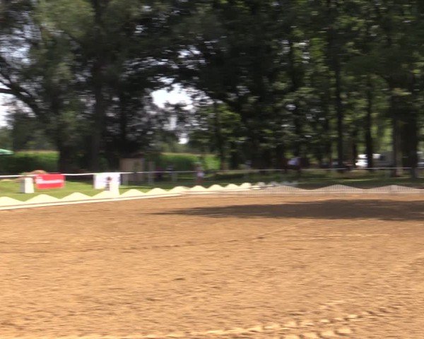 Reitturnier Zobbenitz 2024