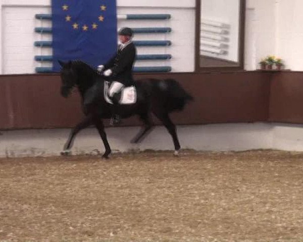 Dressur- und Springturnier Eröffnung der grünen Saison 2013