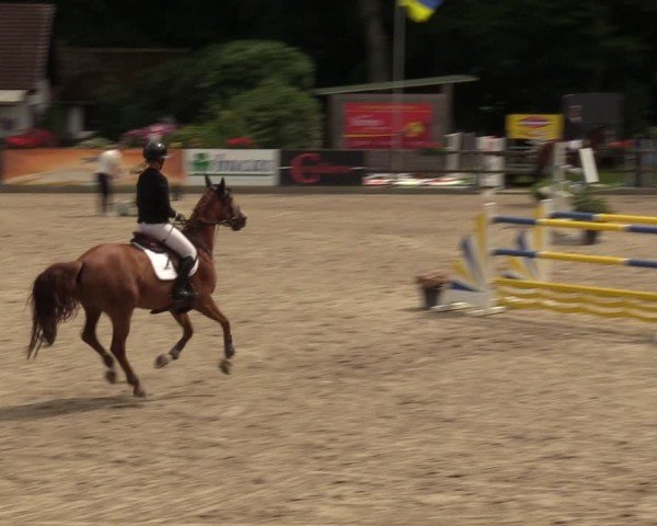 Reitturnier Klein Roscharden 2024