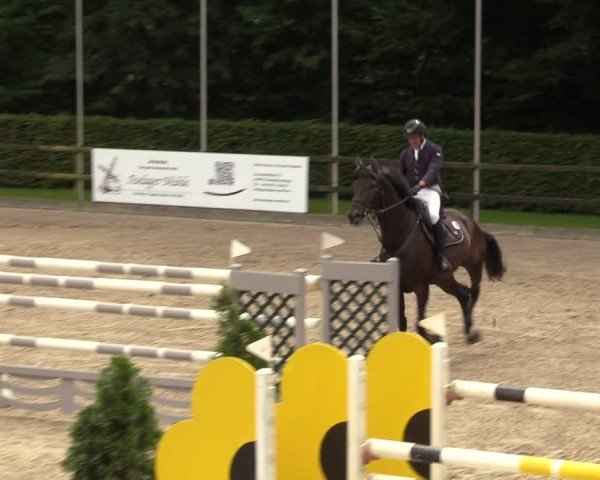 Reitturnier Klein Roscharden 2024