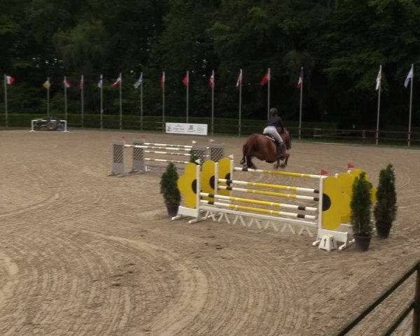 Reitturnier Klein Roscharden 2024