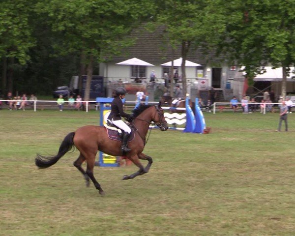 Reitturnier Zobbenitz 2024