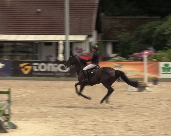 Reitturnier Klein Roscharden 2024