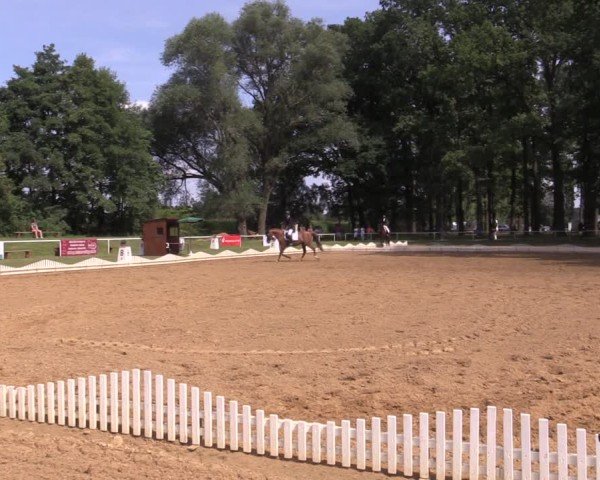 Reitturnier Zobbenitz 2024