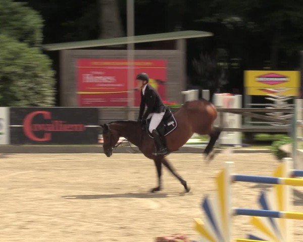 Reitturnier Klein Roscharden 2024