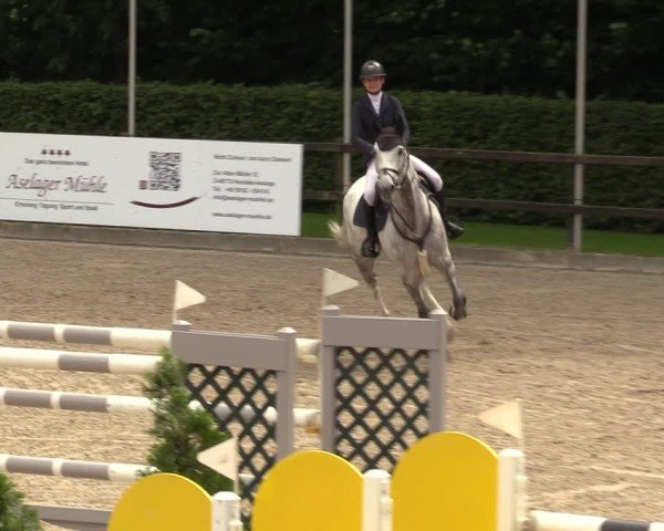 Reitturnier Klein Roscharden 2024