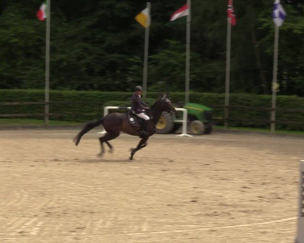 Reitturnier Klein Roscharden 2024