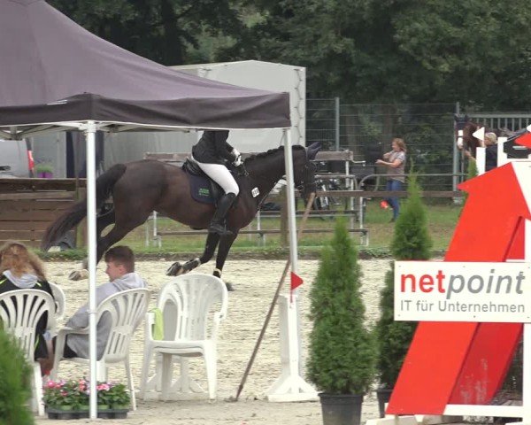 Reitturnier Nettetal-Lobberich 2024
