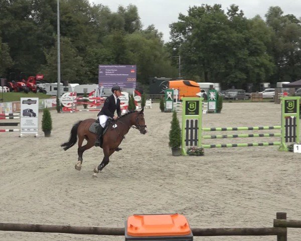 Reitturnier Nettetal-Lobberich 2024