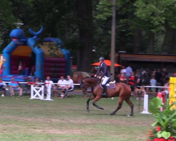 Reitturnier Zobbenitz 2024