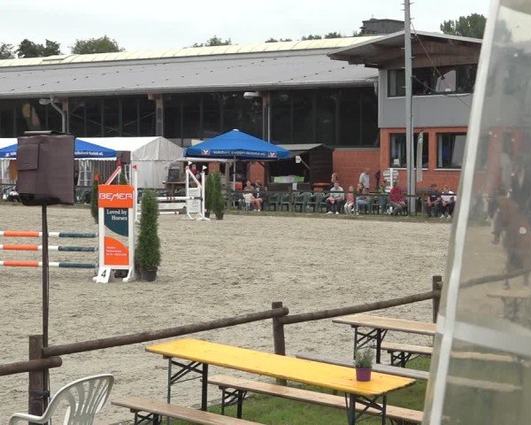Reitturnier Nettetal-Lobberich 2024