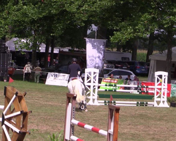 Reitturnier Zobbenitz 2024
