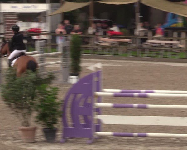 Reitturnier Klein Roscharden 2024