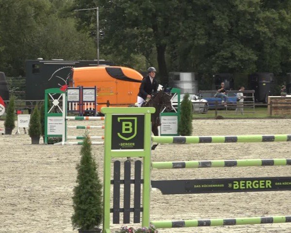 Reitturnier Nettetal-Lobberich 2024