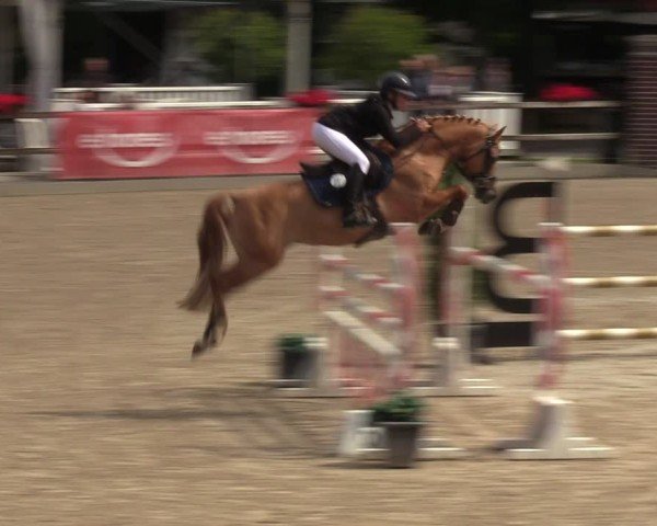 Reitturnier Klein Roscharden 2024