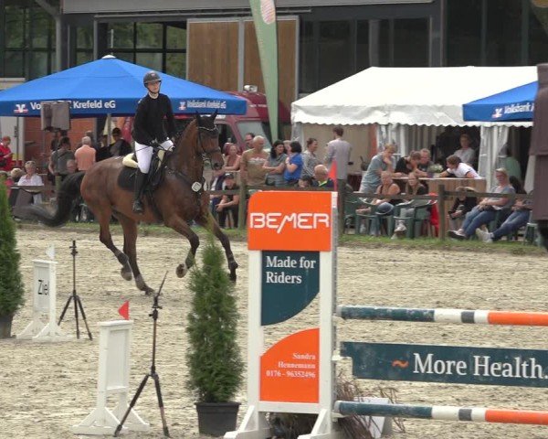Reitturnier Nettetal-Lobberich 2024