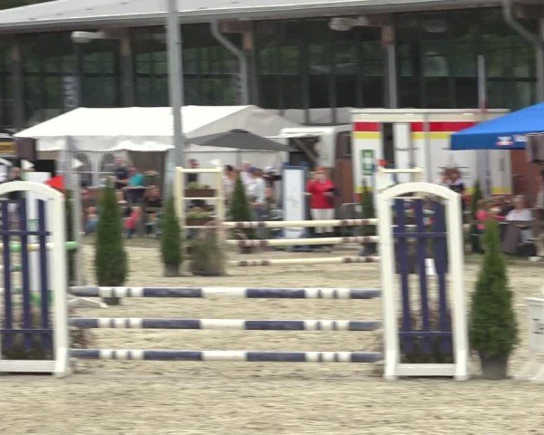 Reitturnier Nettetal-Lobberich 2024