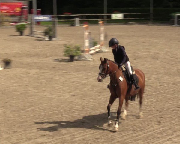 Reitturnier Klein Roscharden 2024