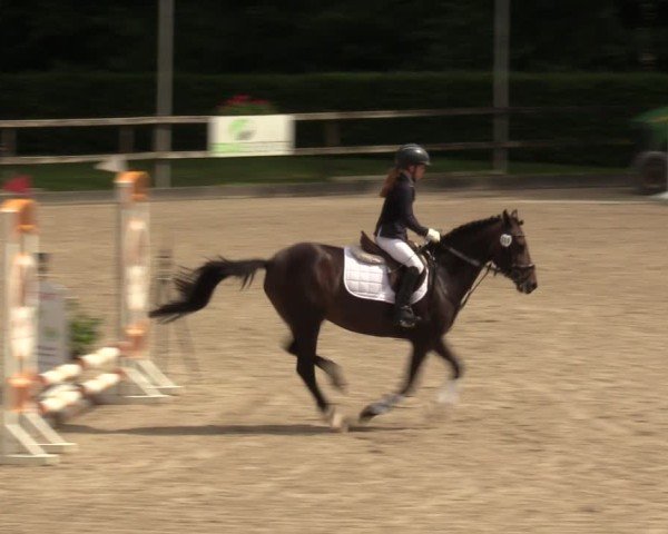 Reitturnier Klein Roscharden 2024