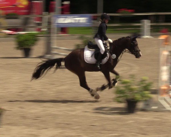 Reitturnier Klein Roscharden 2024