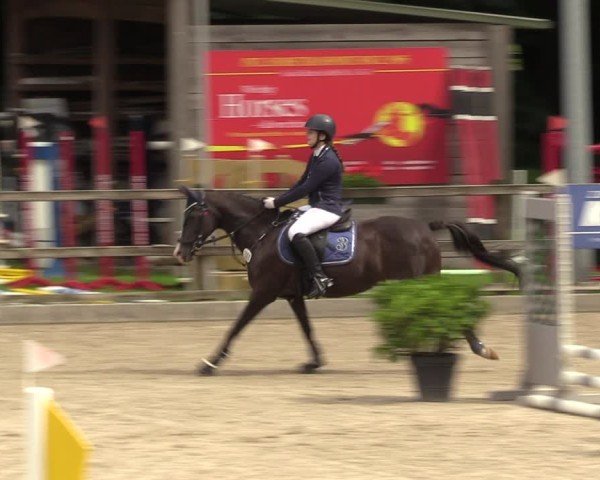 Reitturnier Klein Roscharden 2024