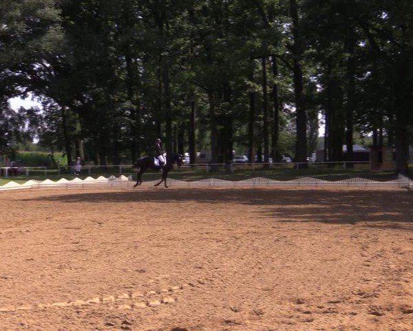 Reitturnier Zobbenitz 2024