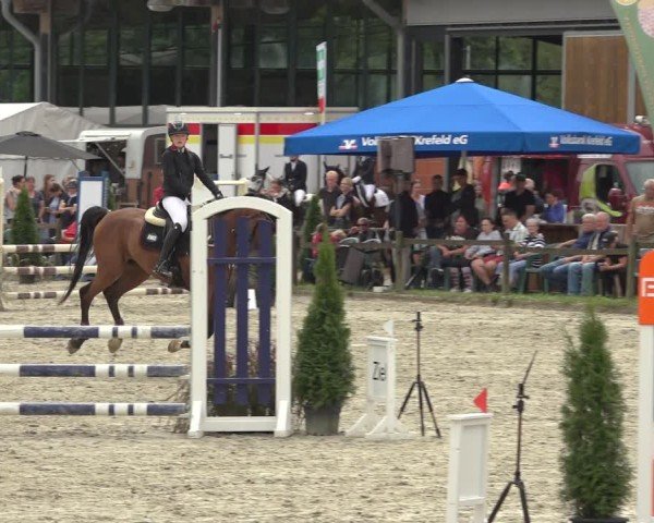 Reitturnier Nettetal-Lobberich 2024