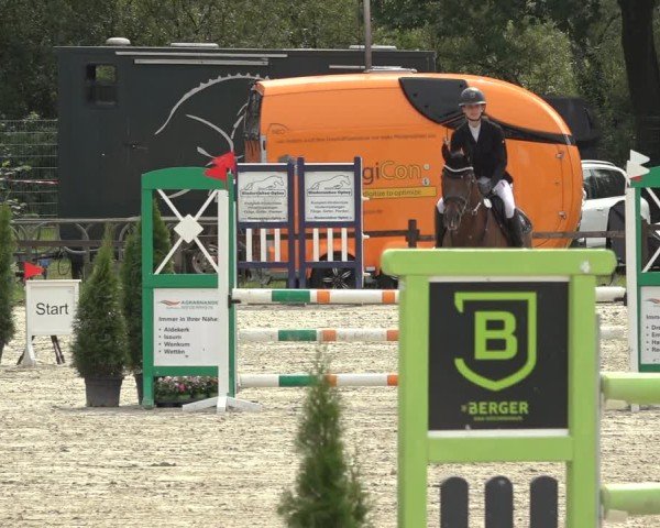 Reitturnier Nettetal-Lobberich 2024