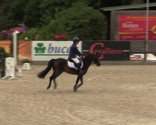 Reitturnier Klein Roscharden 2024