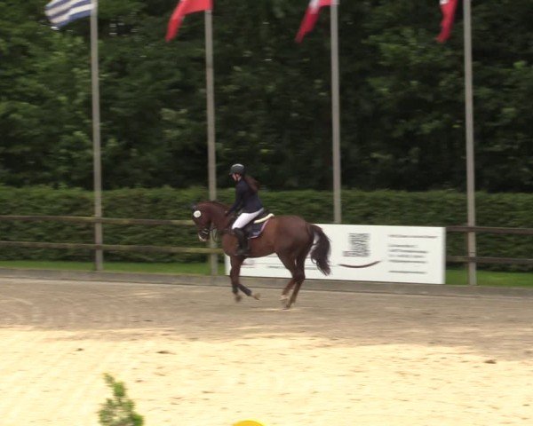 Reitturnier Klein Roscharden 2024