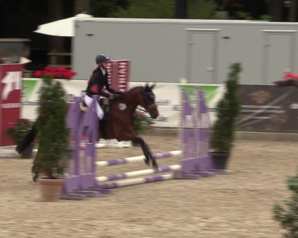 Reitturnier Klein Roscharden 2024