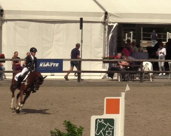 Reitturnier Klein Roscharden 2024