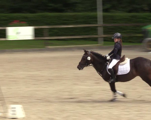 Reitturnier Klein Roscharden 2024
