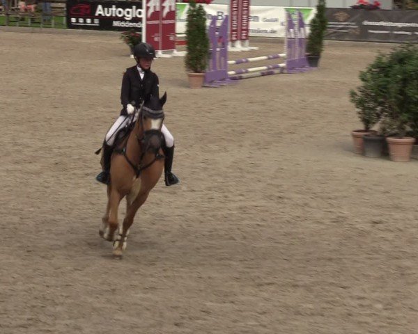 Reitturnier Klein Roscharden 2024