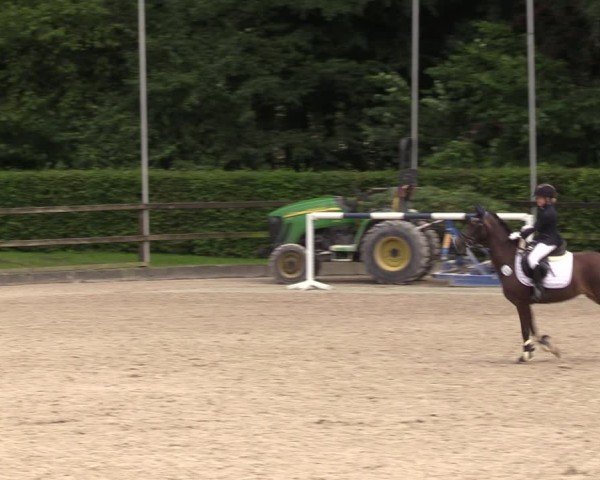 Reitturnier Klein Roscharden 2024