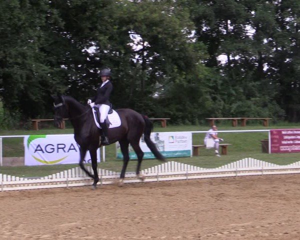 Reitturnier Zobbenitz 2024