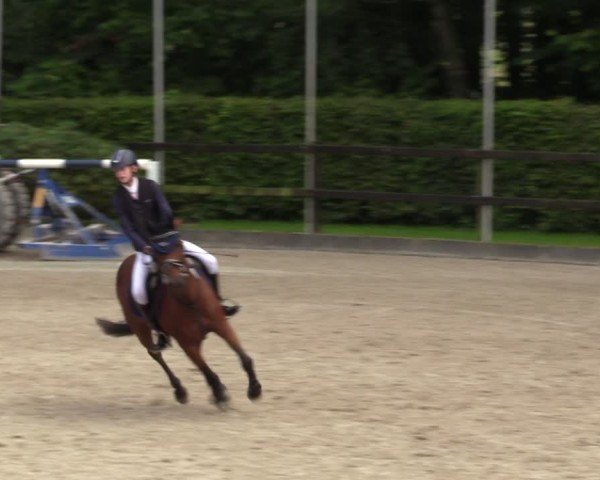 Reitturnier Klein Roscharden 2024