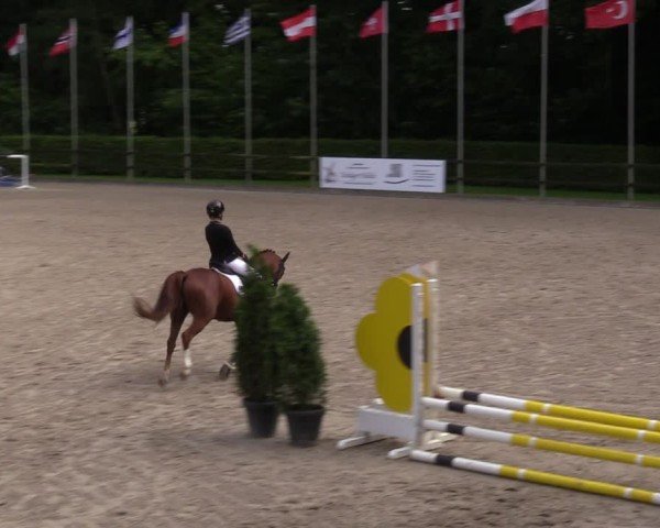 Reitturnier Klein Roscharden 2024