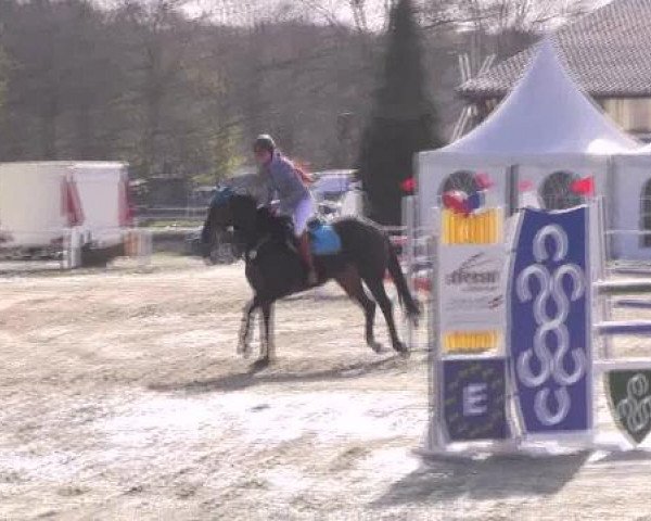 Dressur- und Springturnier Eröffnung der grünen Saison 2013