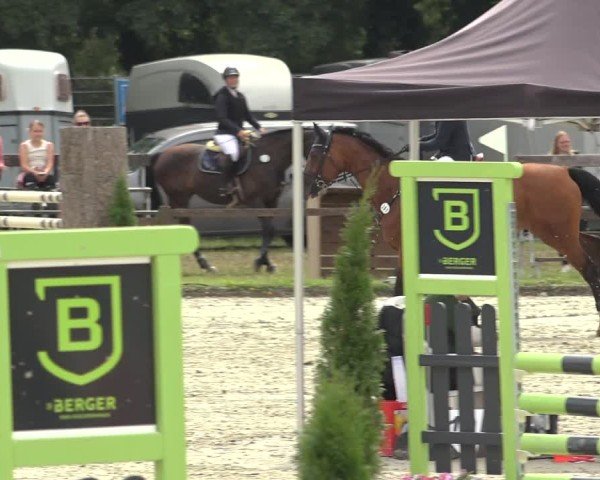 Reitturnier Nettetal-Lobberich 2024