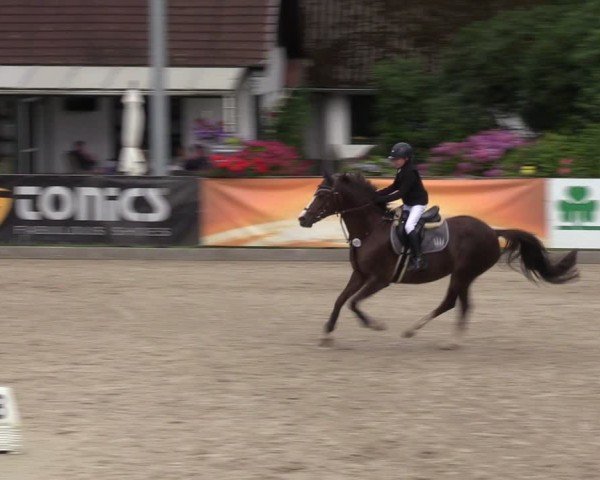 Reitturnier Klein Roscharden 2024
