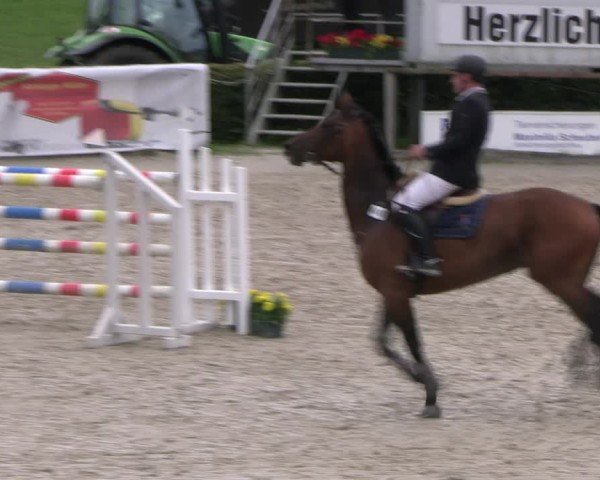 Reitturnier Monschau-Mützenich 2024