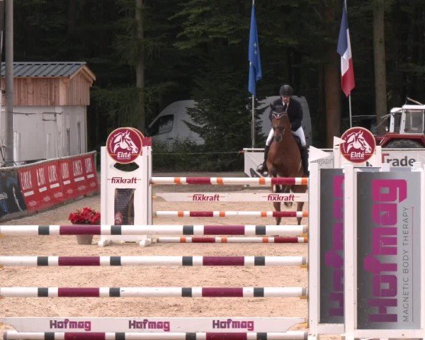 Reitturnier Ranshofen - Braunau am Inn 2024