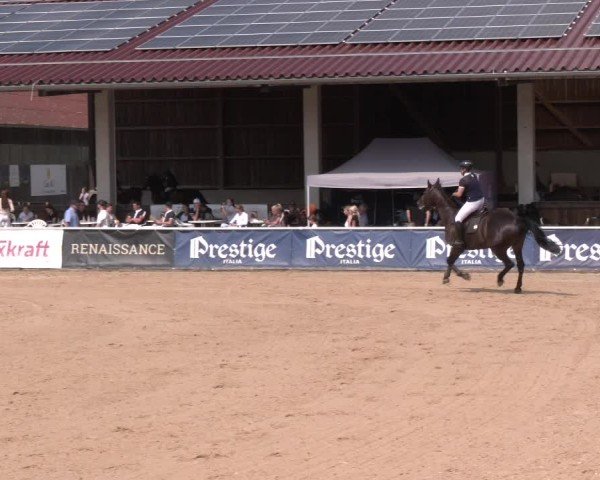 Reitturnier Ranshofen - Braunau am Inn 2024